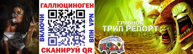 Галлюциногенные грибы прущие грибы  Выборг 